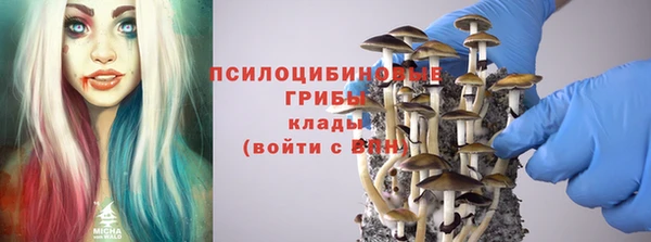 марки nbome Горнозаводск