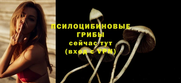 jwh Горняк
