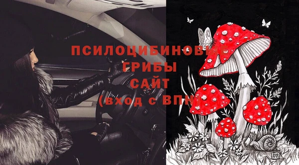 jwh Горняк