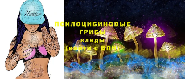 марки nbome Горнозаводск