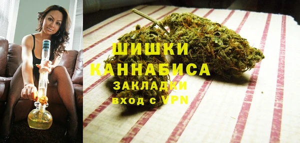 крисы Болхов