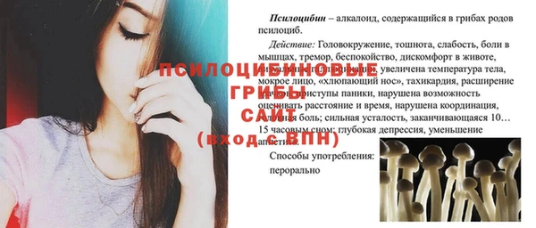 jwh Горняк