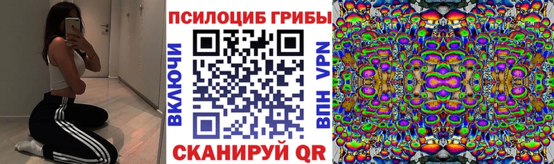 наркотики  Горбатов  Псилоцибиновые грибы MAGIC MUSHROOMS 