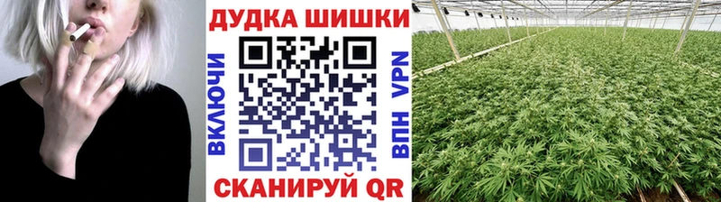 цена   Горбатов  Шишки марихуана THC 21% 